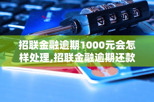 招联金融逾期1000元会怎样处理,招联金融逾期还款的后果