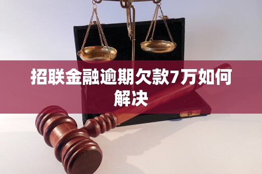 招联金融逾期欠款7万如何解决