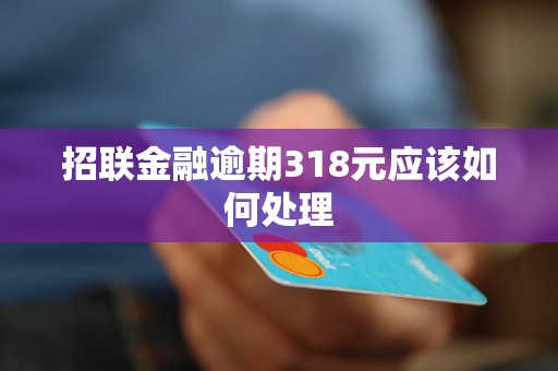 招联金融逾期318元应该如何处理