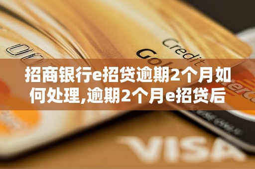 招商银行e招贷逾期2个月如何处理,逾期2个月e招贷后果