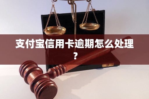 支付宝信用卡逾期怎么处理？