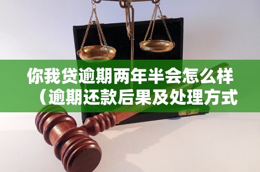 你我贷逾期两年半会怎么样（逾期还款后果及处理方式）