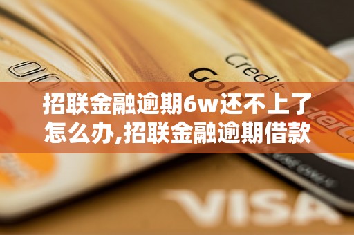 招联金融逾期6w还不上了怎么办,招联金融逾期借款该如何处理