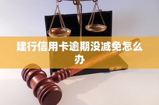 建行信用卡逾期没减免怎么办