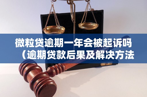 微粒贷逾期一年会被起诉吗（逾期贷款后果及解决方法）