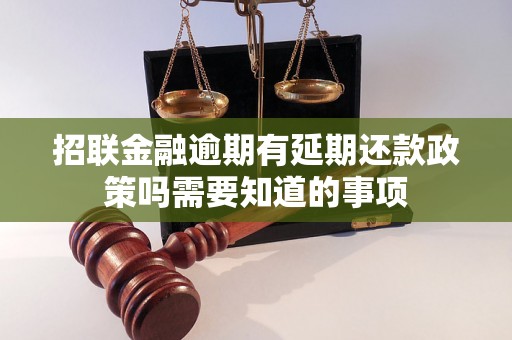 招联金融逾期有延期还款政策吗需要知道的事项