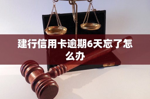 建行信用卡逾期6天忘了怎么办