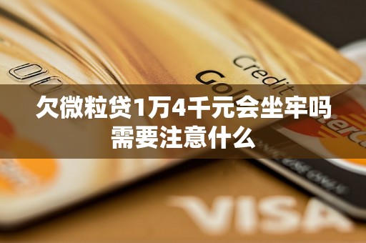 欠微粒贷1万4千元会坐牢吗需要注意什么