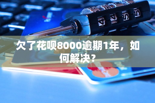 欠了花呗8000逾期1年，如何解决？