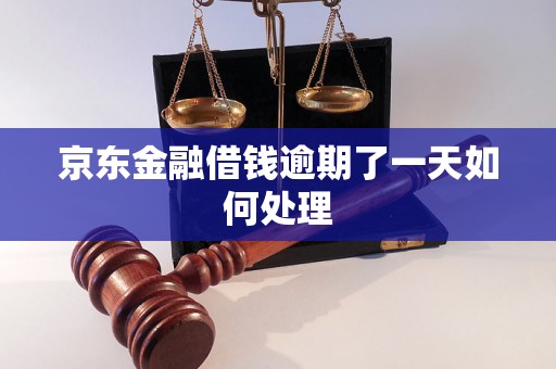 京东金融借钱逾期了一天如何处理