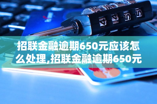 招联金融逾期650元应该怎么处理,招联金融逾期650元会有什么后果