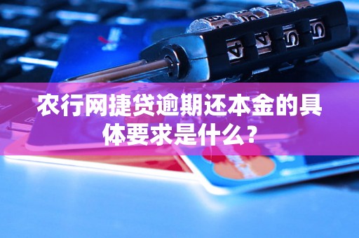 农行网捷贷逾期还本金的具体要求是什么？