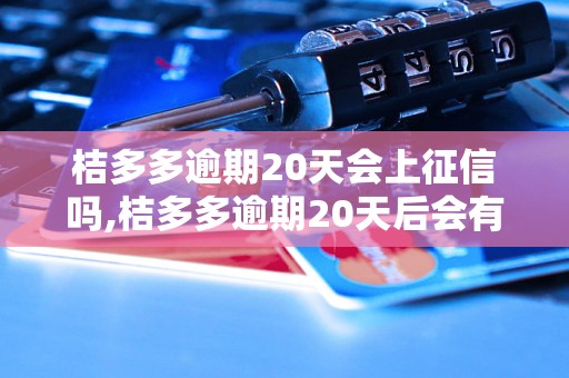 桔多多逾期20天会上征信吗,桔多多逾期20天后会有什么影响