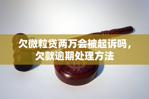 欠微粒贷两万会被起诉吗，欠款逾期处理方法