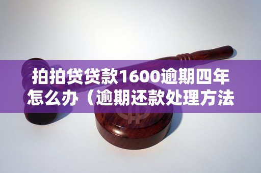 拍拍贷贷款1600逾期四年怎么办（逾期还款处理方法详解）