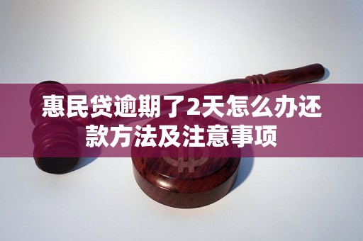 惠民贷逾期了2天怎么办还款方法及注意事项