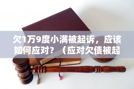 欠1万9度小满被起诉，应该如何应对？（应对欠债被起诉的有效方法）