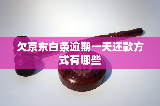 欠京东白条逾期一天还款方式有哪些