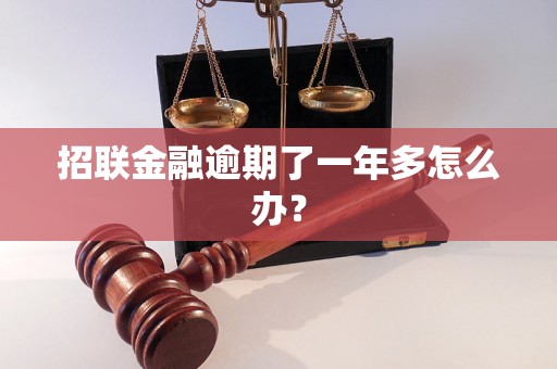 招联金融逾期了一年多怎么办？