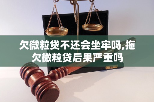 欠微粒贷不还会坐牢吗,拖欠微粒贷后果严重吗