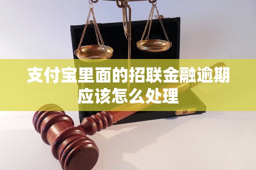 支付宝里面的招联金融逾期应该怎么处理