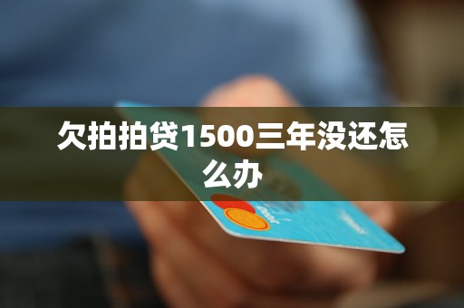 欠拍拍贷1500三年没还怎么办