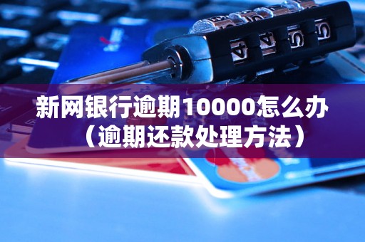 新网银行逾期10000怎么办（逾期还款处理方法）