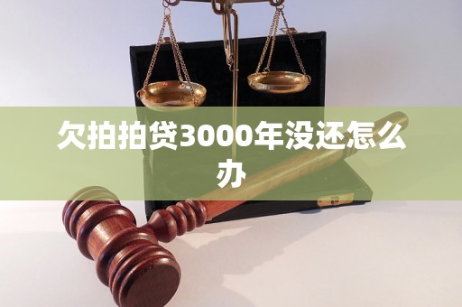 欠拍拍贷3000年没还怎么办