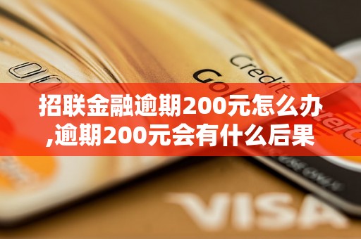 招联金融逾期200元怎么办,逾期200元会有什么后果