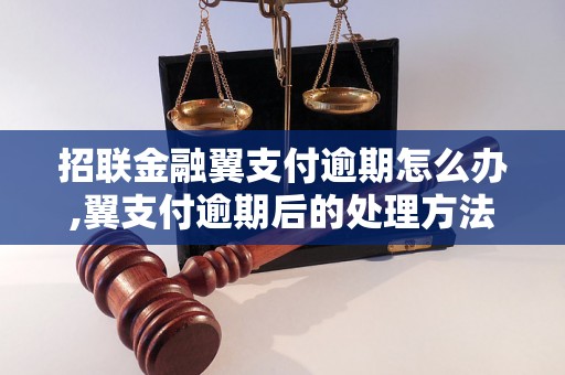 招联金融翼支付逾期怎么办,翼支付逾期后的处理方法