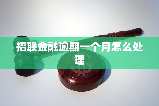 招联金融逾期一个月怎么处理