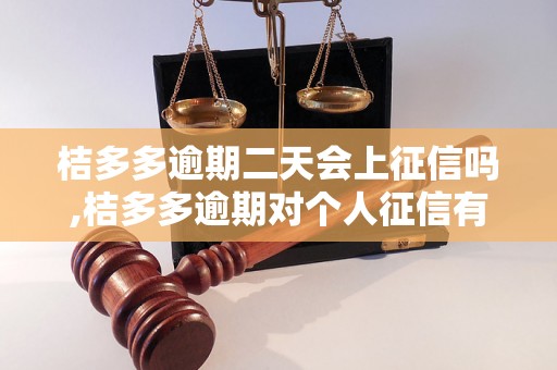 桔多多逾期二天会上征信吗,桔多多逾期对个人征信有影响吗