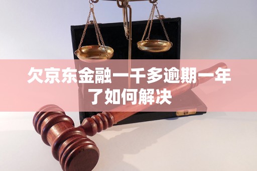 欠京东金融一千多逾期一年了如何解决