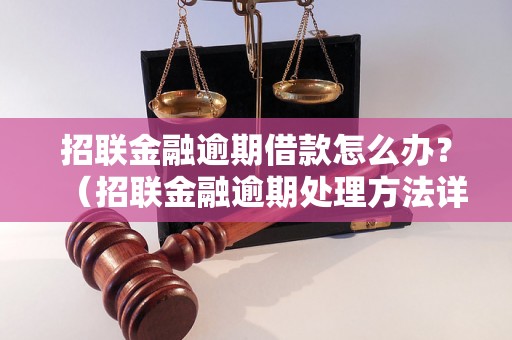 招联金融逾期借款怎么办？（招联金融逾期处理方法详解）