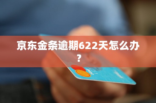 京东金条逾期622天怎么办？