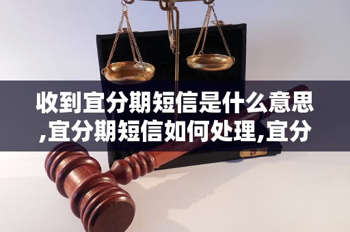 收到宜分期短信是什么意思,宜分期短信如何处理,宜分期短信是否安全