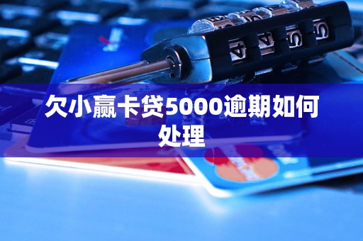 欠小赢卡贷5000逾期如何处理