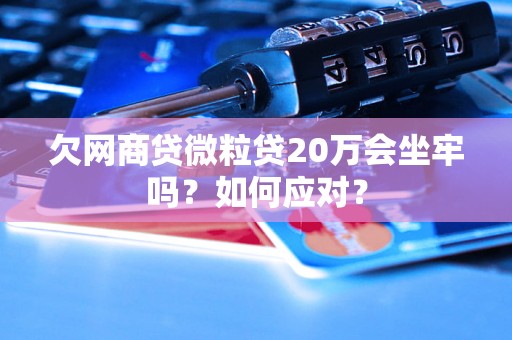 欠网商贷微粒贷20万会坐牢吗？如何应对？