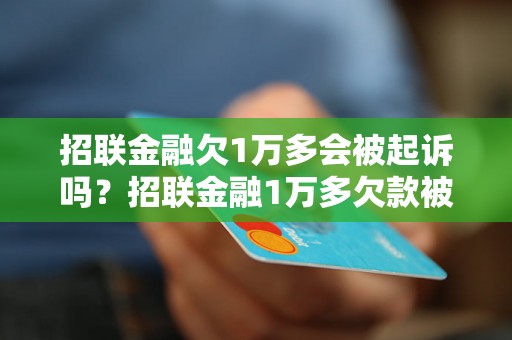 招联金融欠1万多会被起诉吗？招联金融1万多欠款被起诉的案例有哪些？