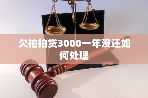 欠拍拍贷3000一年没还如何处理