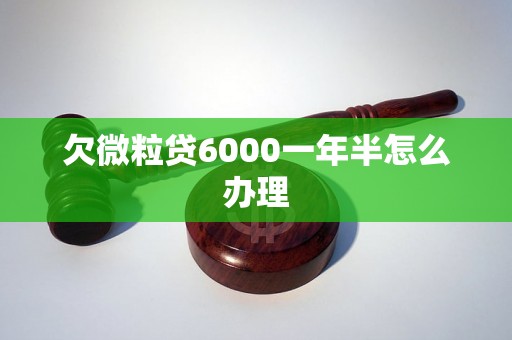 欠微粒贷6000一年半怎么办理