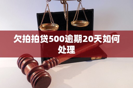 欠拍拍贷500逾期20天如何处理