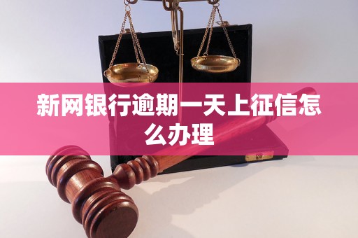 新网银行逾期一天上征信怎么办理