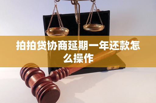 拍拍贷协商延期一年还款怎么操作