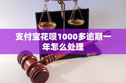 支付宝花呗1000多逾期一年怎么处理