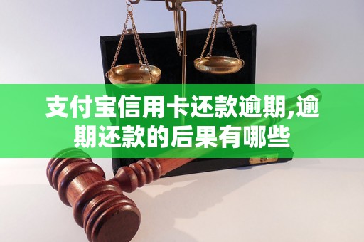 支付宝信用卡还款逾期,逾期还款的后果有哪些