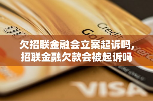 欠招联金融会立案起诉吗,招联金融欠款会被起诉吗