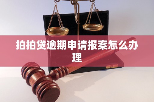 拍拍贷逾期申请报案怎么办理