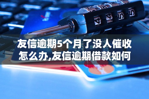 友信逾期5个月了没人催收怎么办,友信逾期借款如何处理