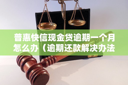 普惠快信现金贷逾期一个月怎么办（逾期还款解决办法）